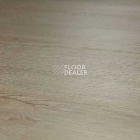 Tarkett Funky House Ricon фото 11 | FLOORDEALER
